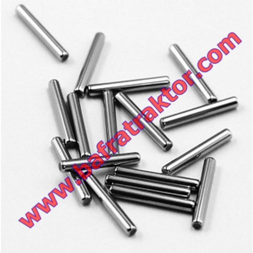 R39073 Hidrolik Pompa İğne Rulman - John Deere