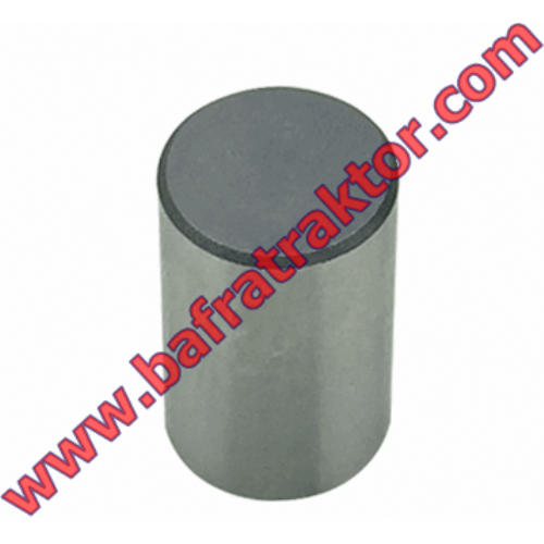 R63022 Hidrolik Pompa Pistonu  - John Deere