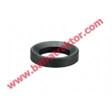 R259524 Hassasiyet Mili Segman Pulu - John Deere